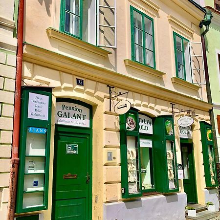 Apartman Galant Leilighet Český Krumlov Eksteriør bilde