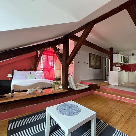 Apartman Galant Leilighet Český Krumlov Eksteriør bilde