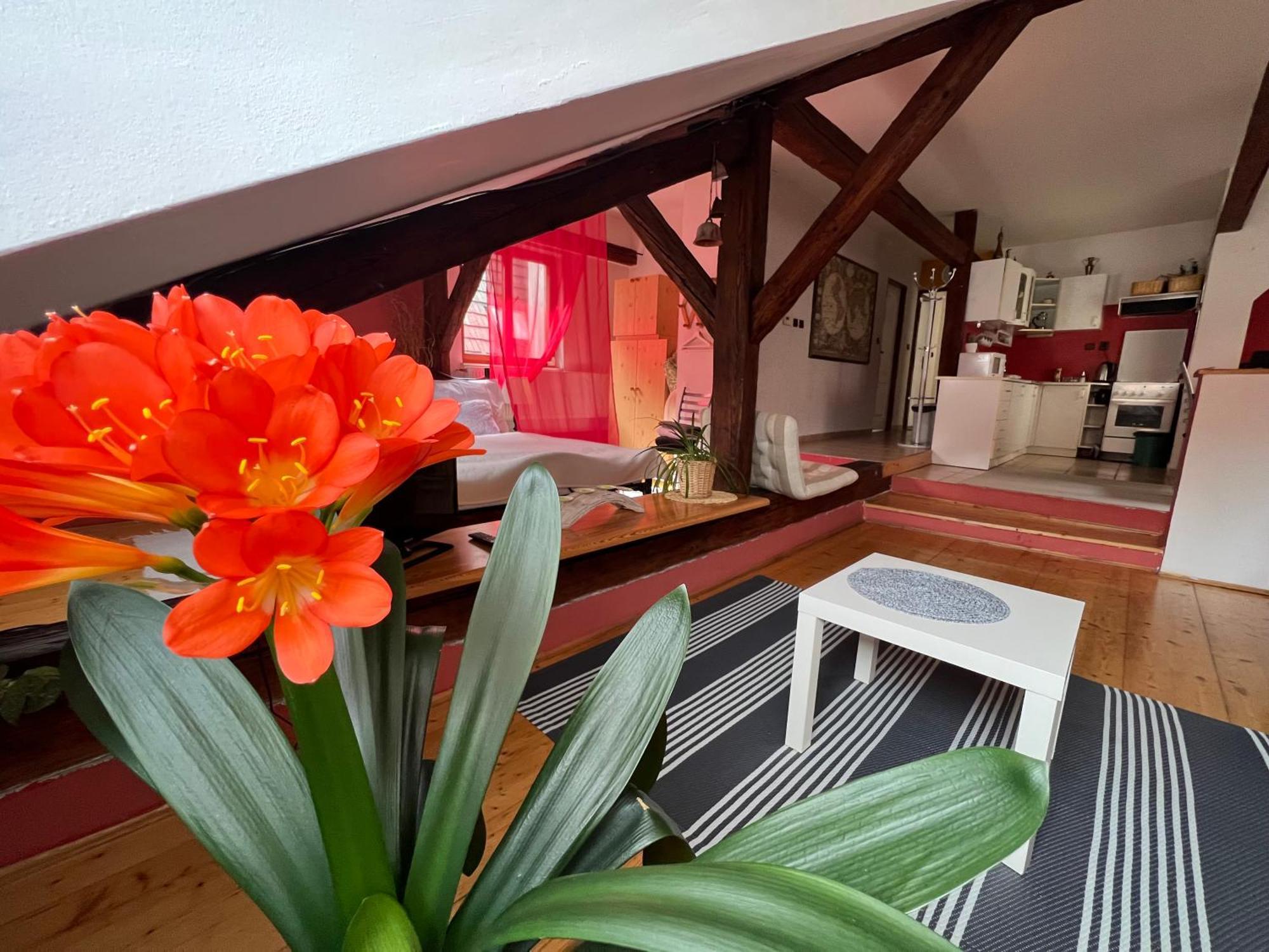 Apartman Galant Leilighet Český Krumlov Eksteriør bilde